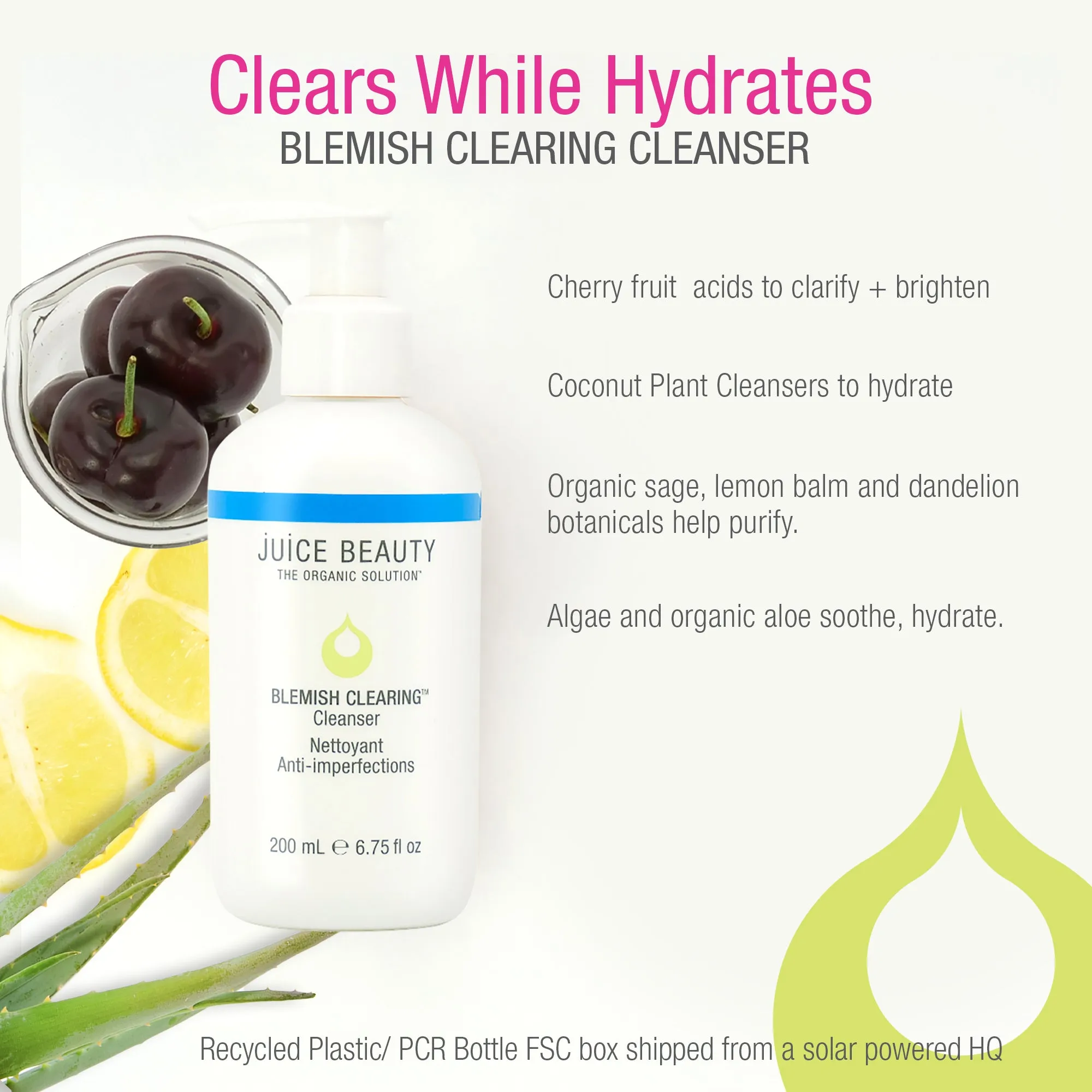 Blemish Clearing Cleanser Travel Size