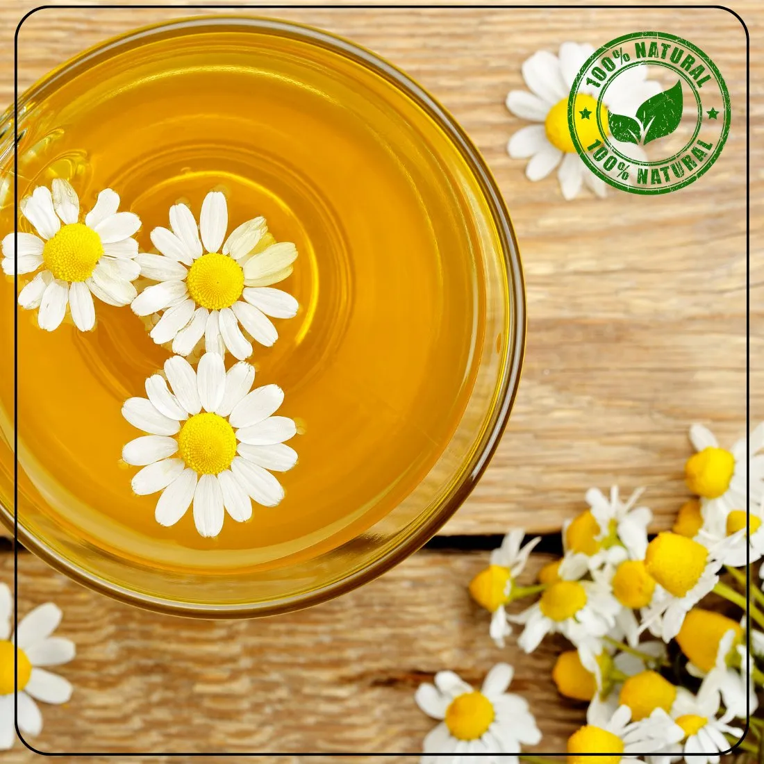 Calming Chamomile Flower Decaf Chinese Tisane