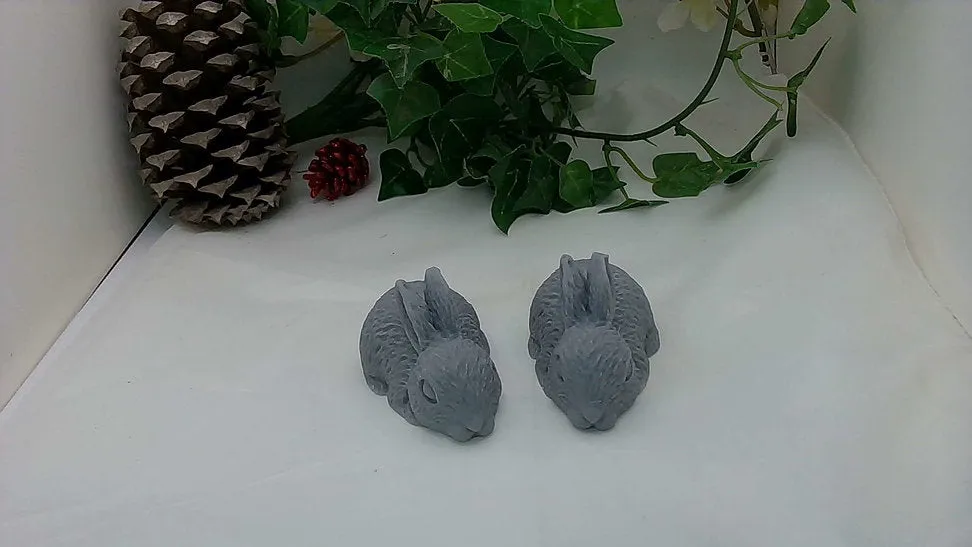 Forest Pine Rabbits infused in Bamboo Charcoal Soap