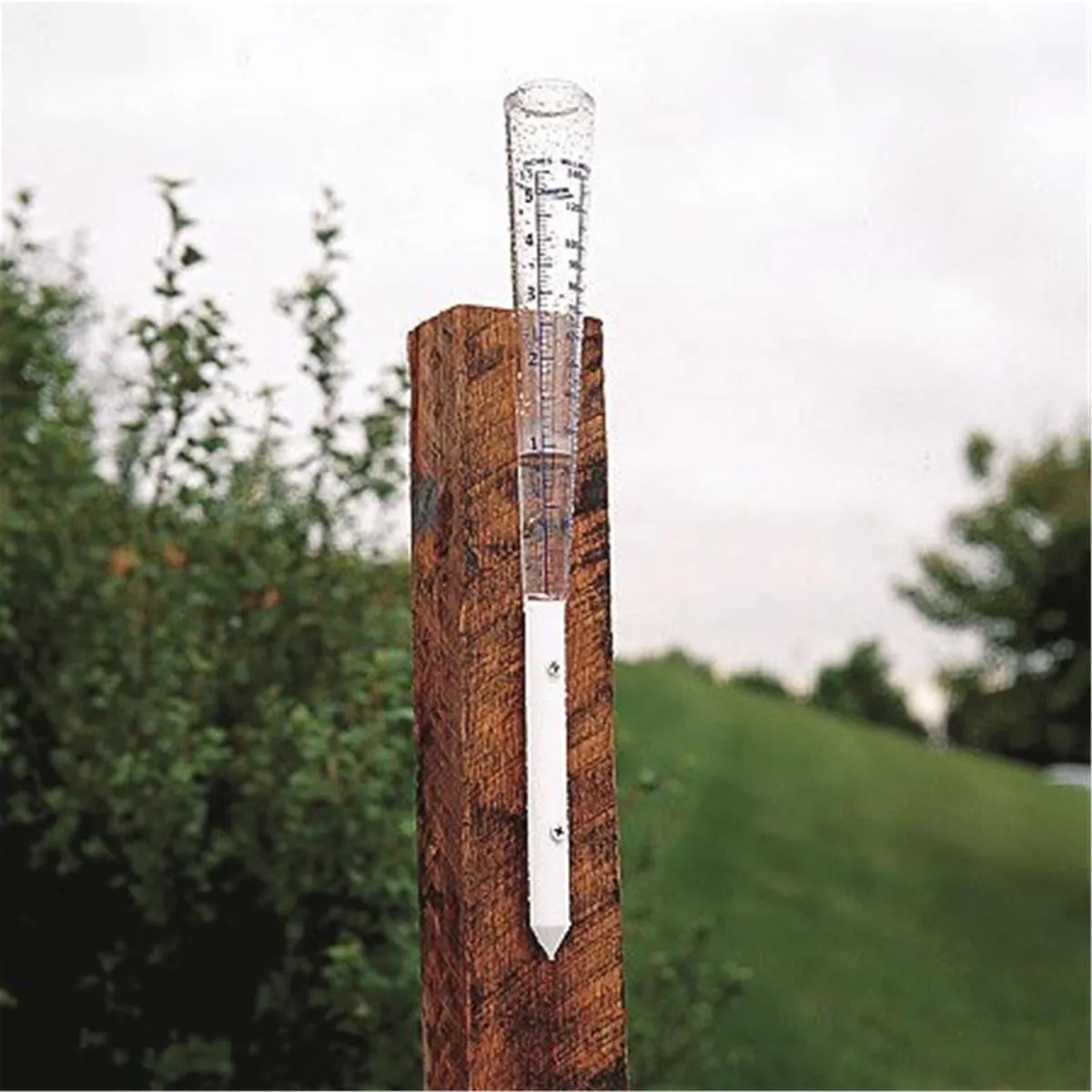 Tapered Rain Gauge